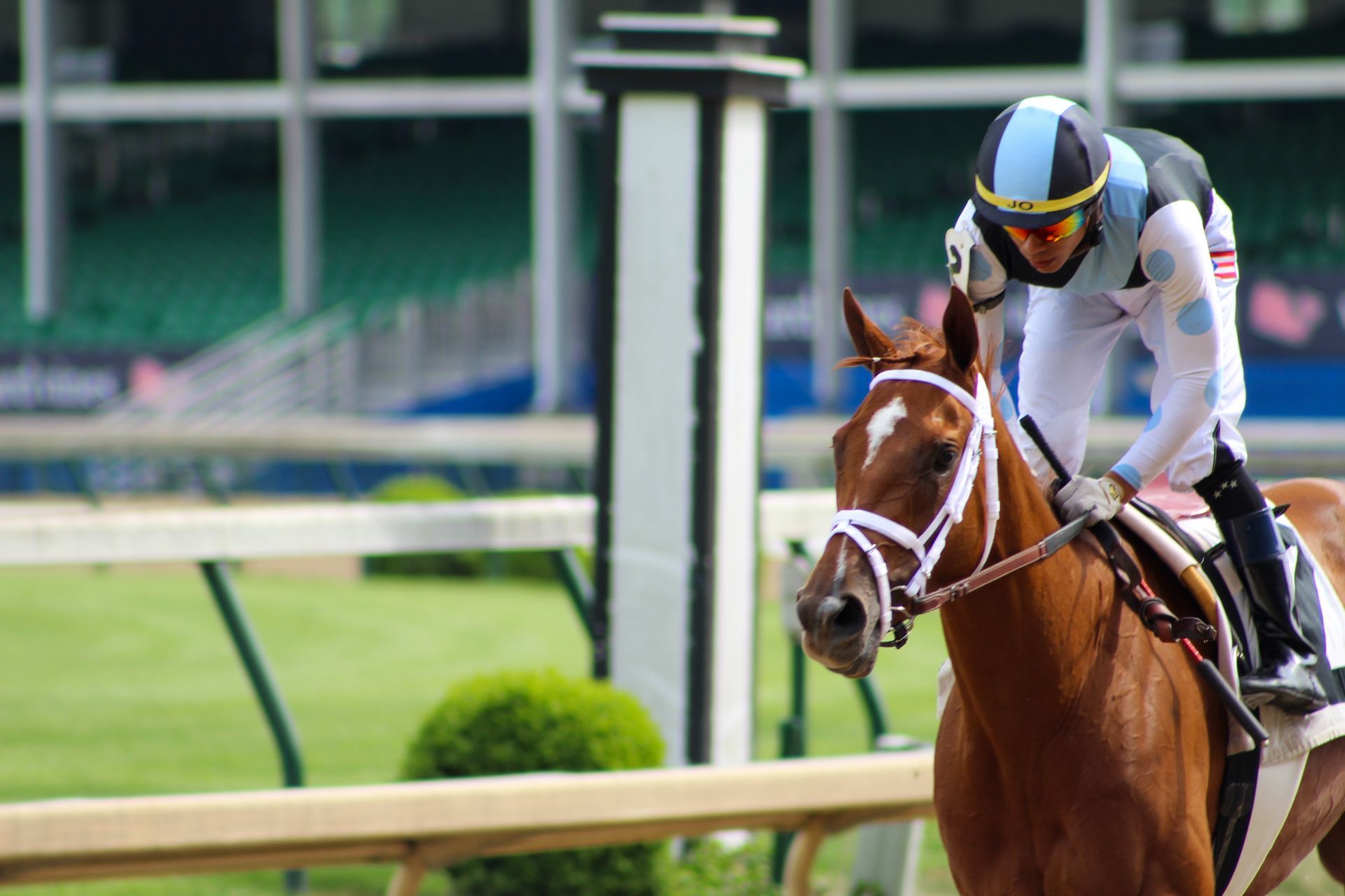 Jockey riding a chestnut horse on a racetrack, leaning forward with white rails and green in the background