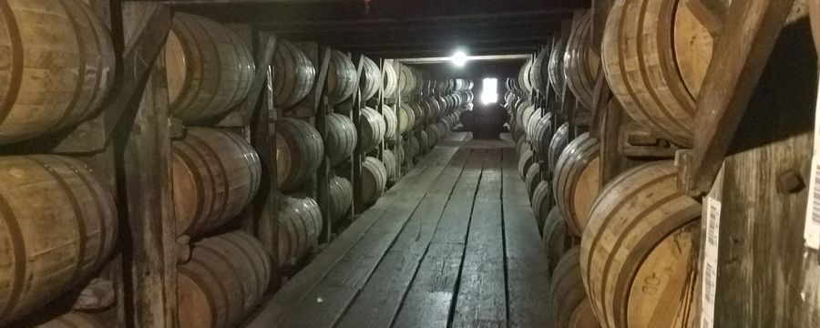 Narrow wine cellar lined with wooden barrels, with a wooden walkway receding into the distance.