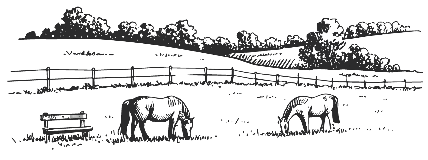 Two horses grazing in a fenced pasture with hills and trees in the background.