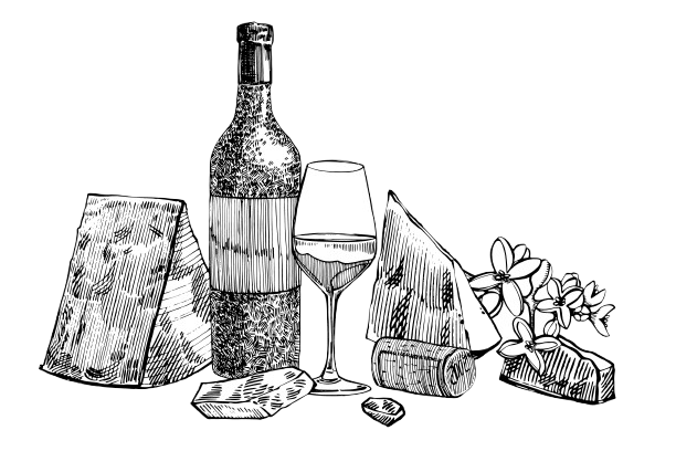 Sketch of wine bottle, glass, cheeses, crackers, and grapes on a white background