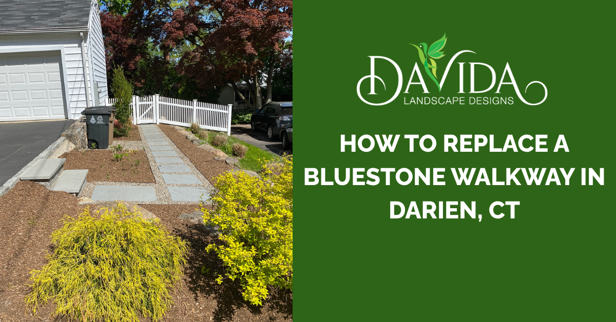 Bluestone walkway beside white house and shrubs, with text: “How to replace a bluestone walkway in Darien, CT”