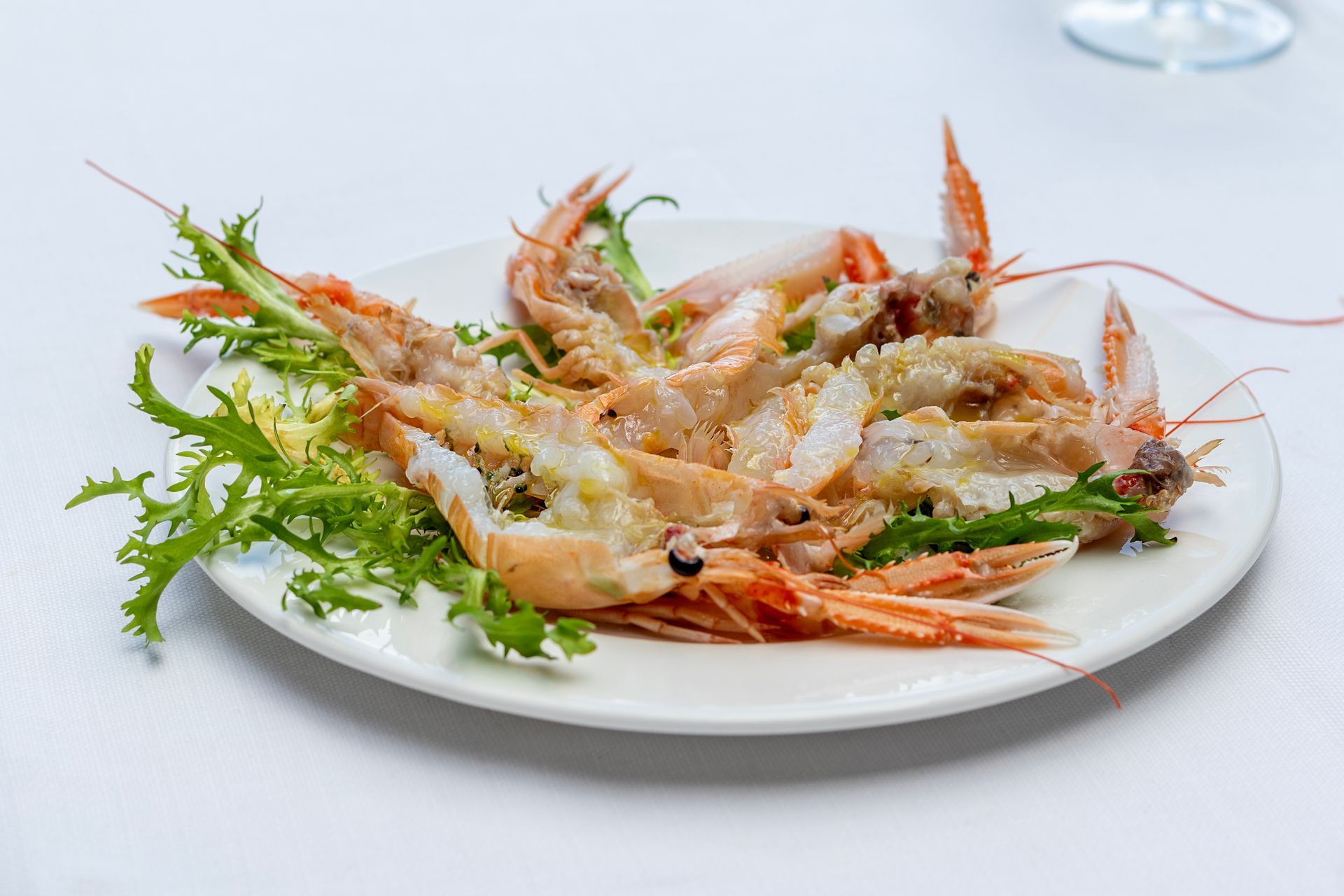 Piatto di scampi cotti, servito con insalata verde su un piatto bianco.