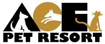 Ace Pet Resort