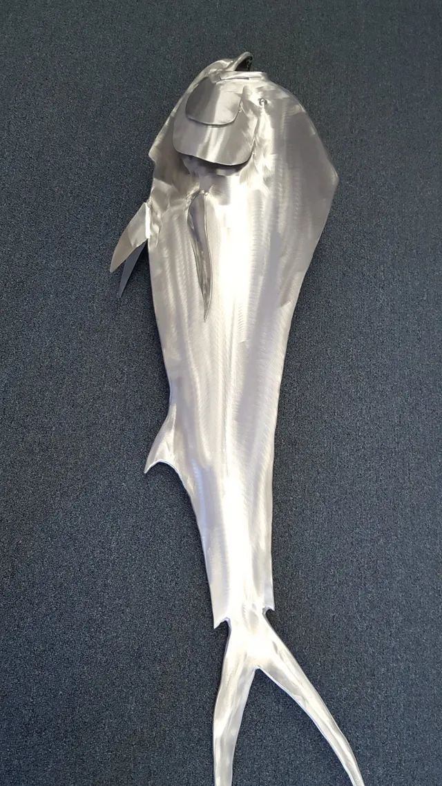 Mahi Dolphin