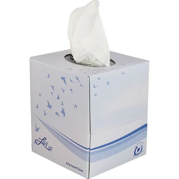 Livi Facial Tissues Cube - White, 90 sheets/box, 36 boxes/cs