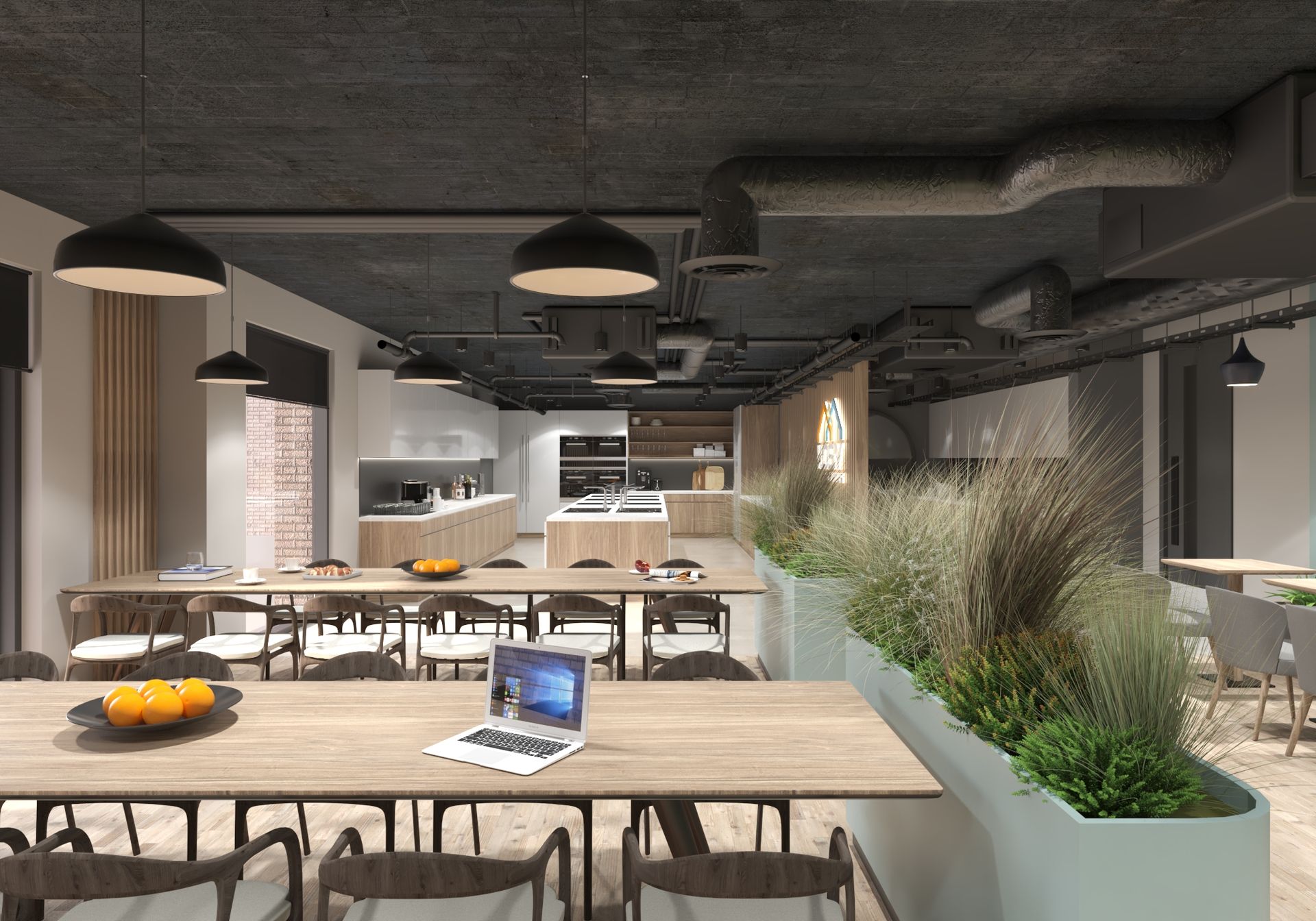 Kosy Living | Co Living, BTR, Student & Later Co Living