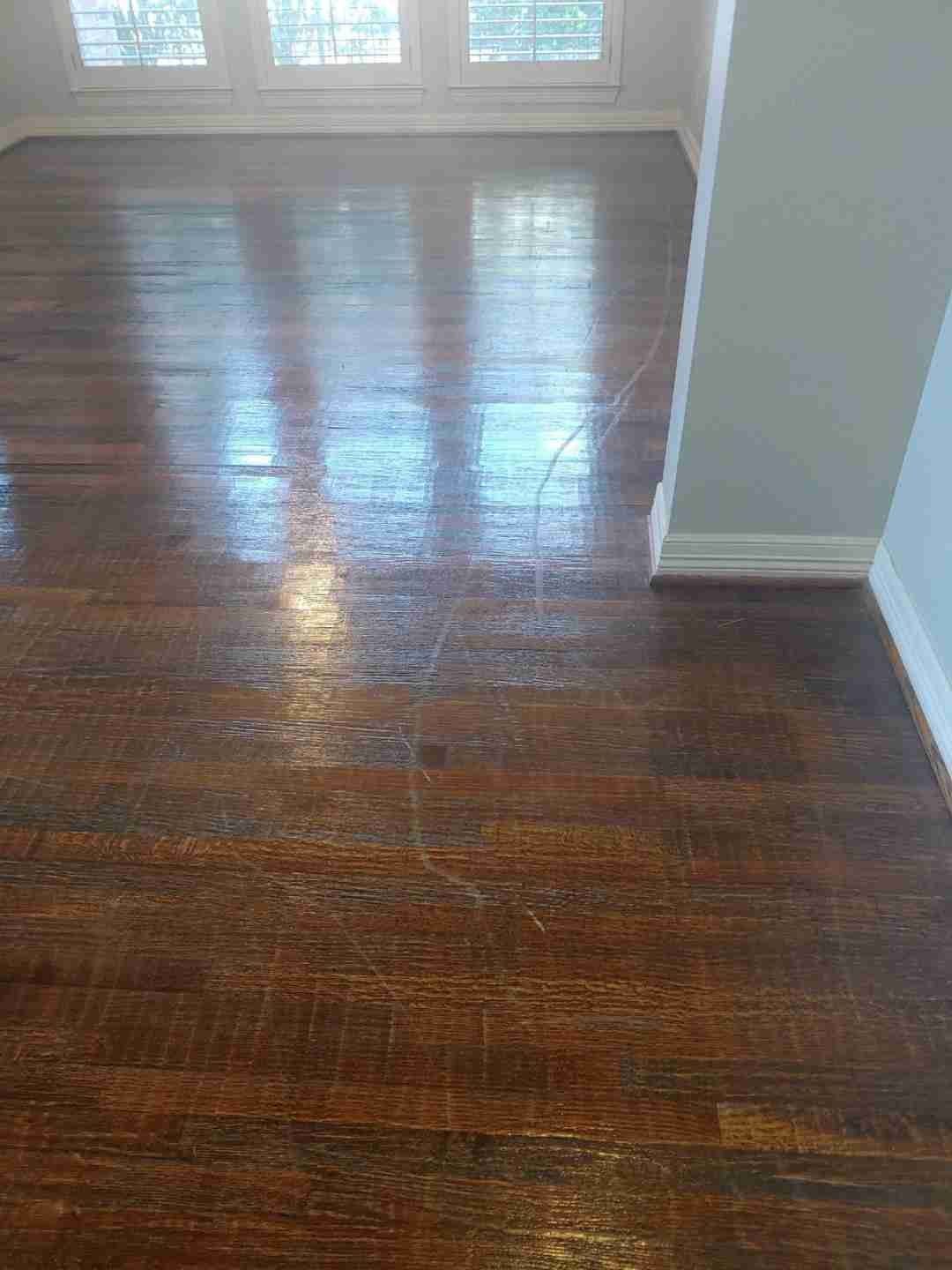 Before Cleaning the Carpet — Mansfield, TX — Apex Cleaning Concepts LLC Before Cleaning the Carpet — Mansfield, TX — Apex Cleaning Concepts LLC