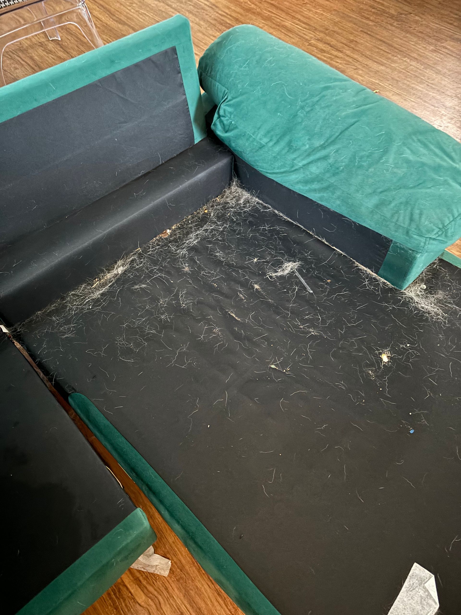 Before Cleaning the Carpet — Mansfield, TX — Apex Cleaning Concepts LLC