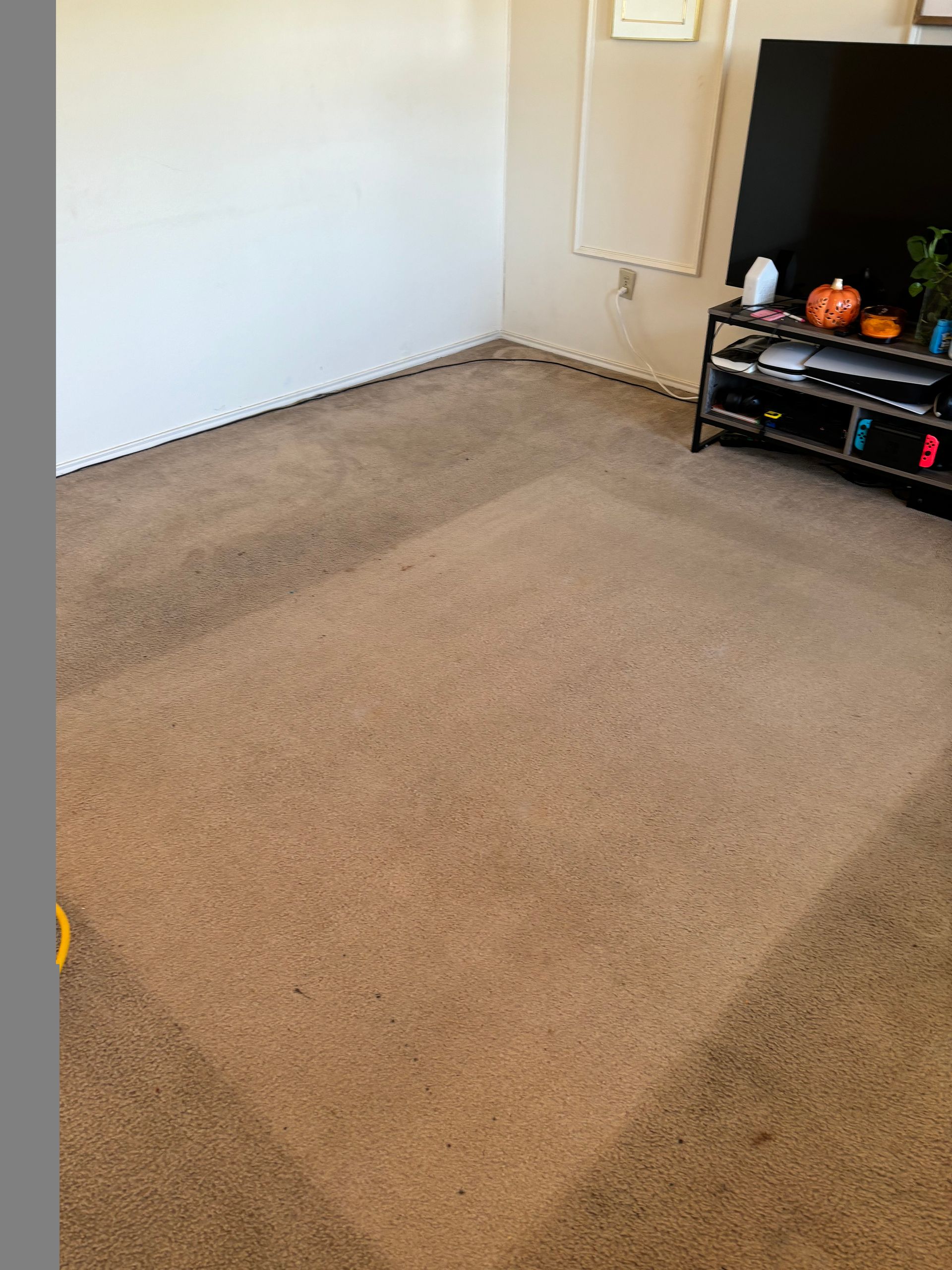 Before Cleaning the Carpet — Mansfield, TX — Apex Cleaning Concepts LLC
