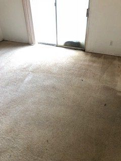 After Cleaning the Carpet — Mansfield, TX — Apex Cleaning Concepts LLC After Cleaning the Carpet — Mansfield, TX — Apex Cleaning Concepts LLC