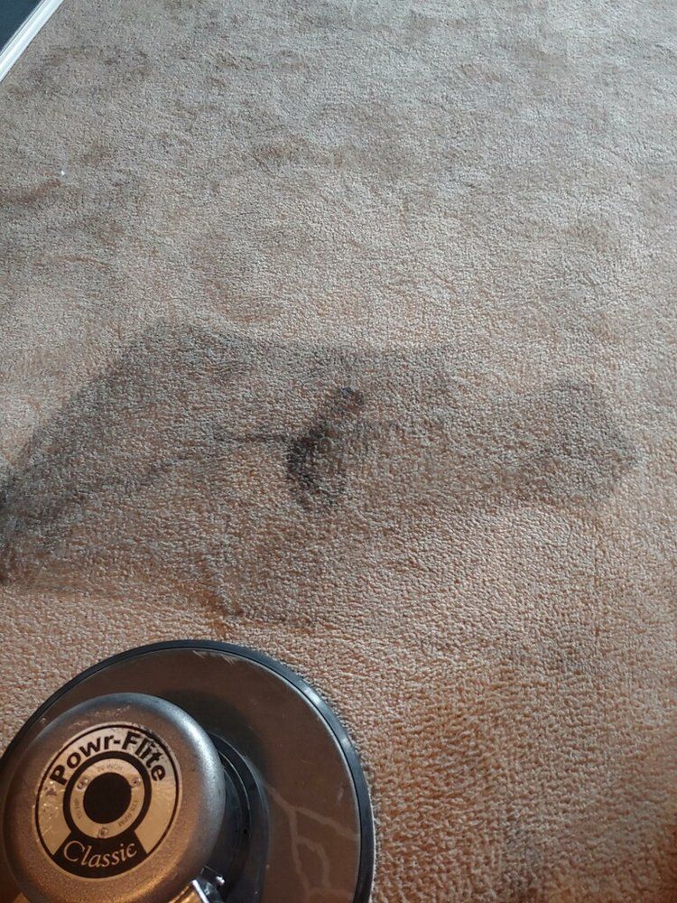 Before Cleaning the Carpet — Mansfield, TX — Apex Cleaning Concepts LLC Before Cleaning the Carpet — Mansfield, TX — Apex Cleaning Concepts LLC