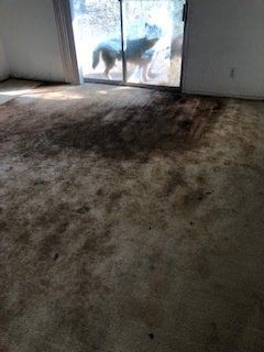 Before Cleaning the Carpet — Mansfield, TX — Apex Cleaning Concepts LLC Before Cleaning the Carpet — Mansfield, TX — Apex Cleaning Concepts LLC