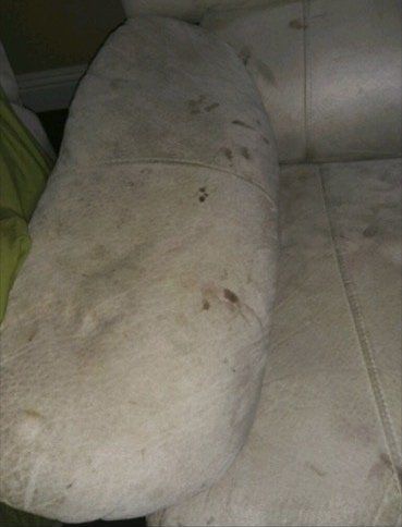 Before Cleaning the Carpet — Mansfield, TX — Apex Cleaning Concepts LLC Before Cleaning the Carpet — Mansfield, TX — Apex Cleaning Concepts LLC