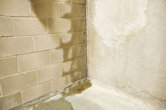 Leaking walls