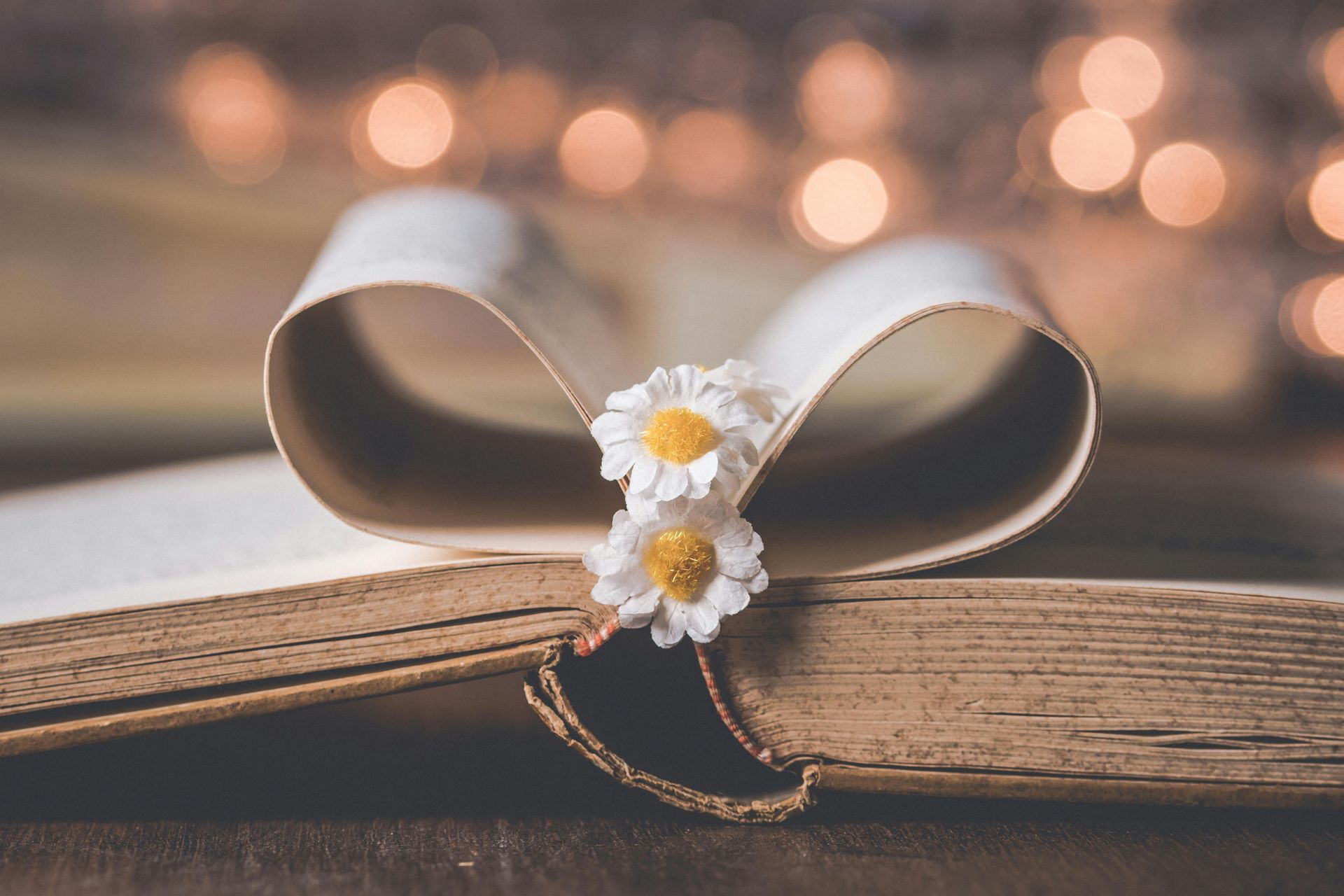 Book opened to the middle with center pages folded towards each other in the shape of a heart.