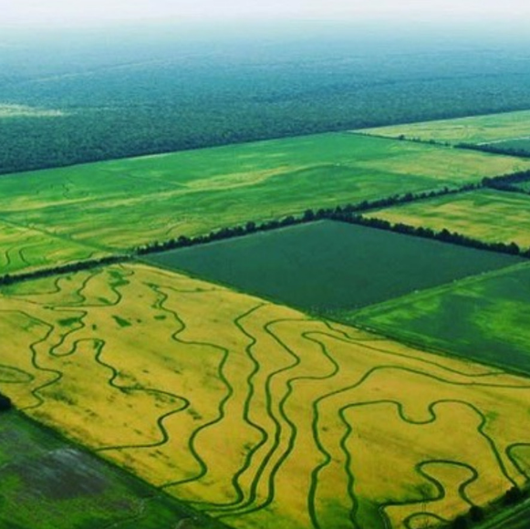 Aerial view of green farmland with winding water channels and rectangular crop fields