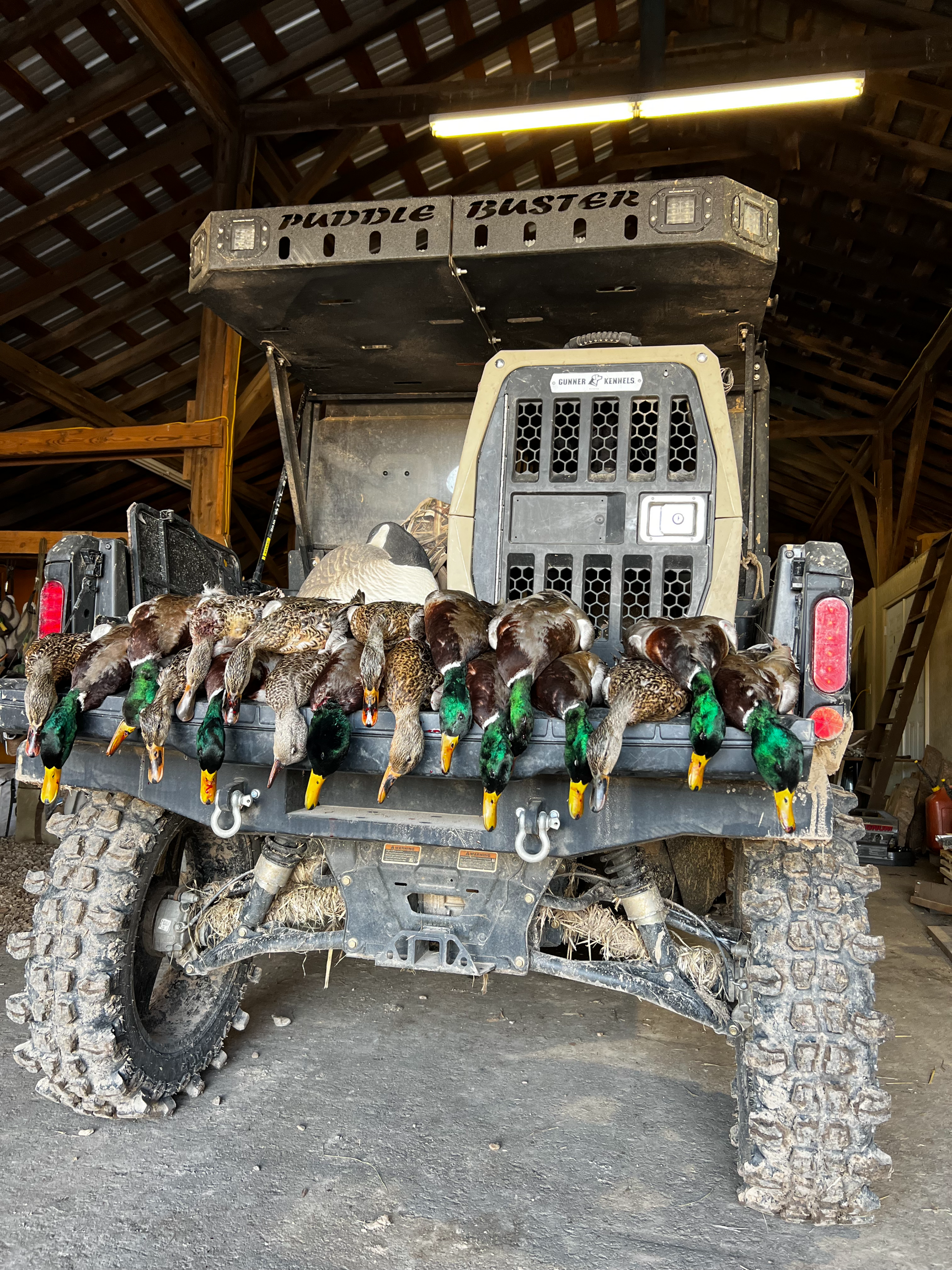 Muddy off-road utility vehicle in a barn, covered with debris and logs on the front rack.