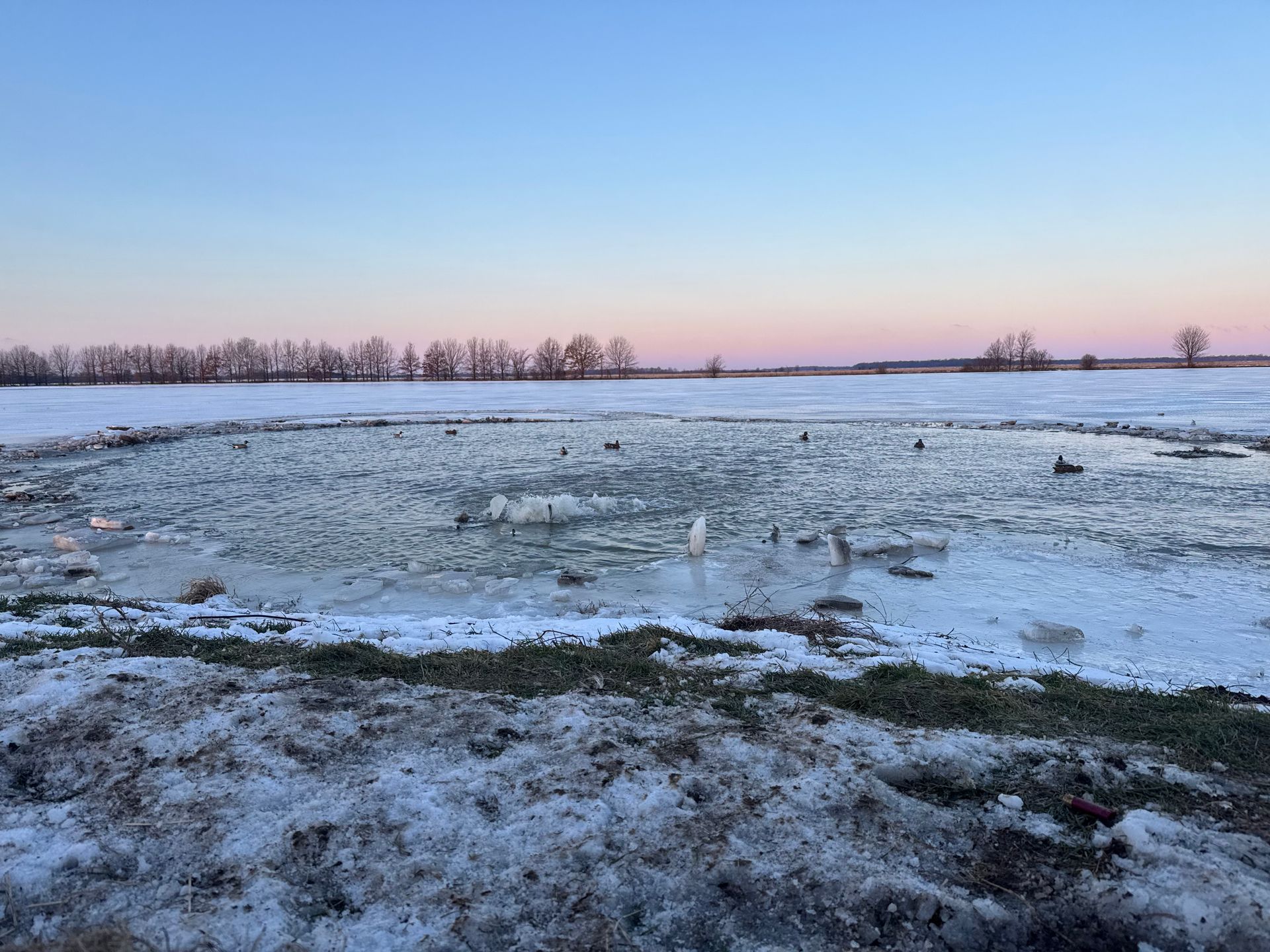 Snowy frozen field under a pastel sunrise sky with a tree line in the distance