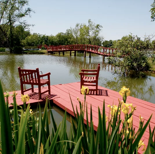 Red wooden bridge and chairs over a calm pond in a lush garden with yellow flowers in the foreground