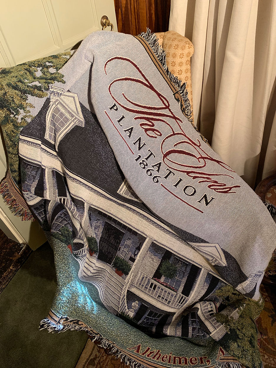 Detroit Lions blanket draped over a chair, with a stuffed animal peeking out underneath
