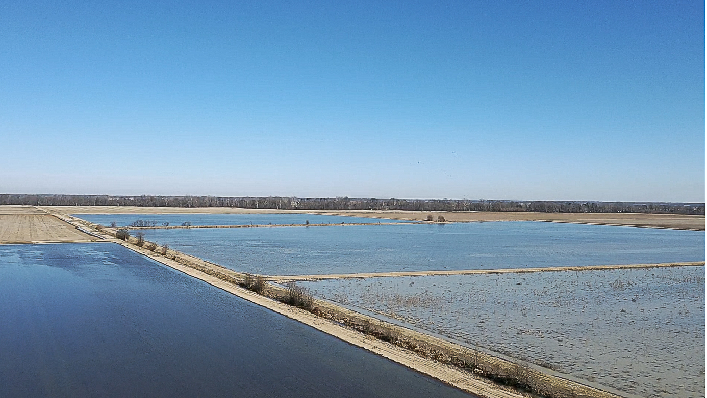 Water-filled salt ponds beside a long levee under a clear blue sky.