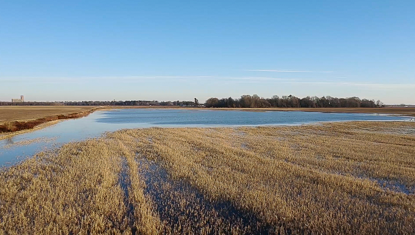 Frozen marshland with a winding river under a clear blue sky