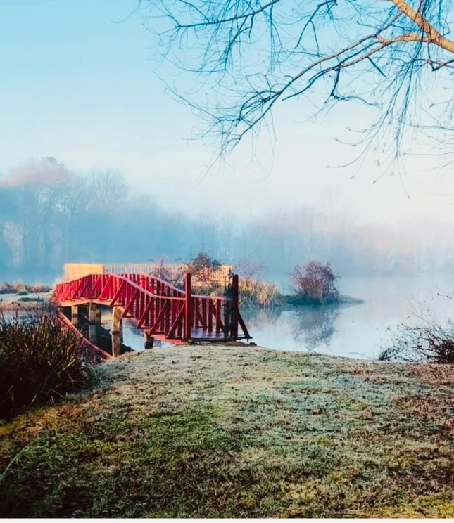 Red footbridge over a calm lake in a misty winter park with frosty grass and bare trees.