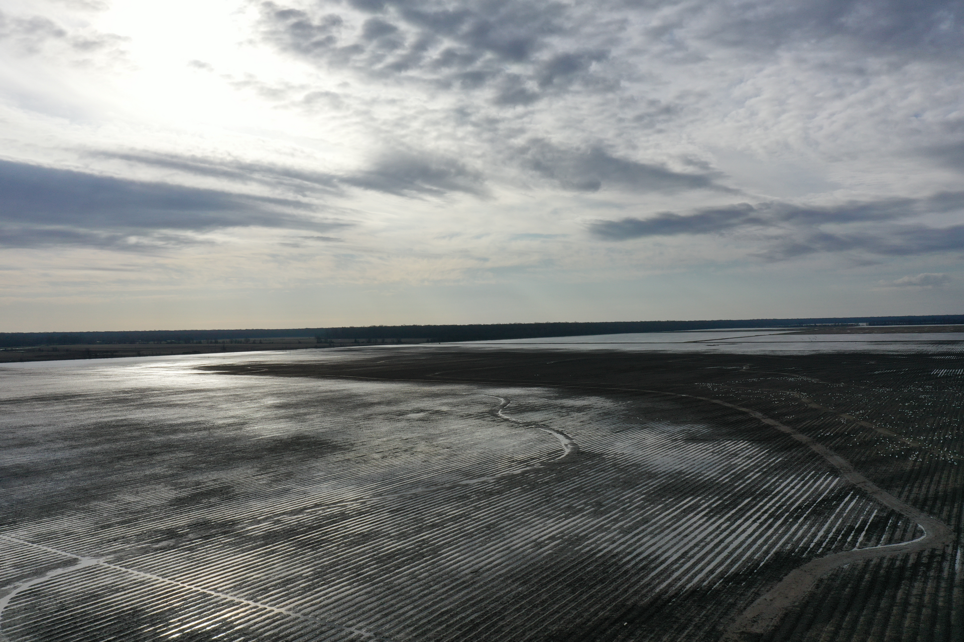 Wide tidal mudflat under a cloudy sky with reflective water and distant shoreline