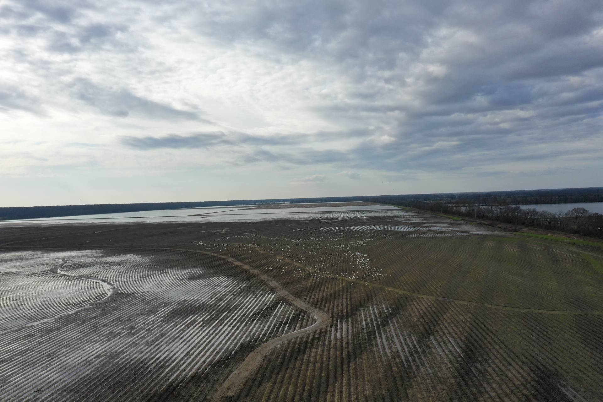 Wide muddy shoreline under cloudy sky with shallow water and distant land on the horizon
