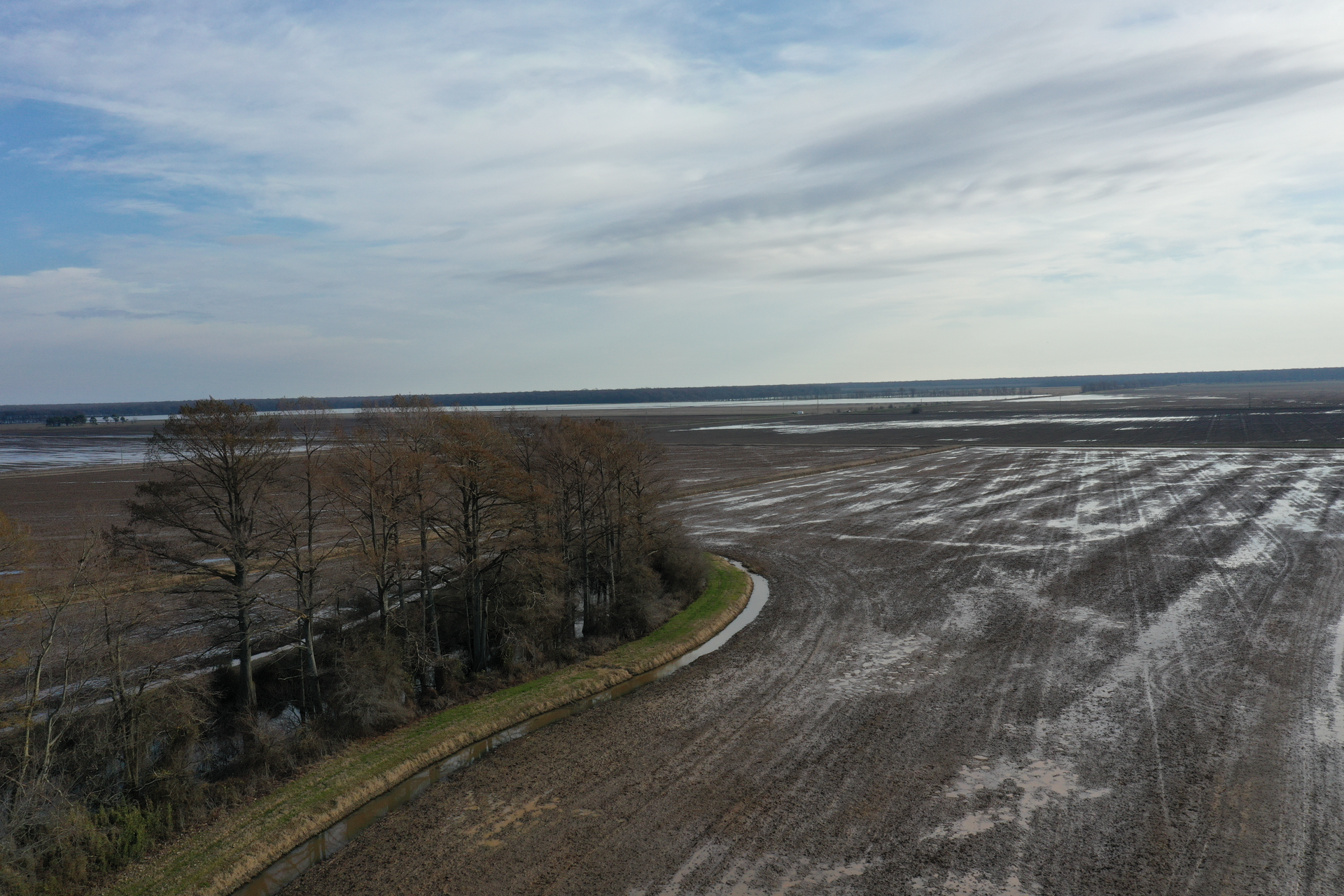 Wintry farmland with a line of leafless trees beside a wide, muddy field under a cloudy sky
