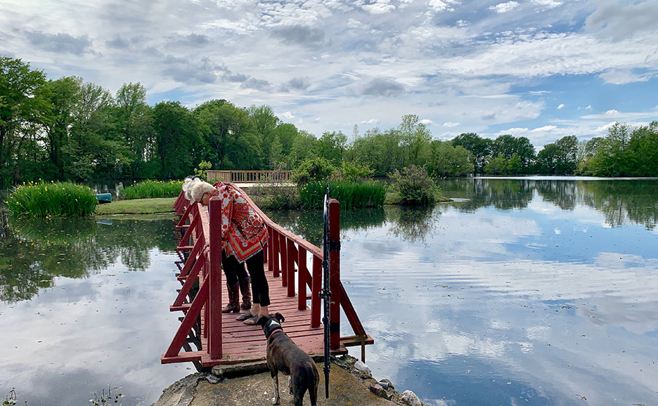 Person and dog on a red dock over a calm lake, with trees and cloudy sky reflected in the water.