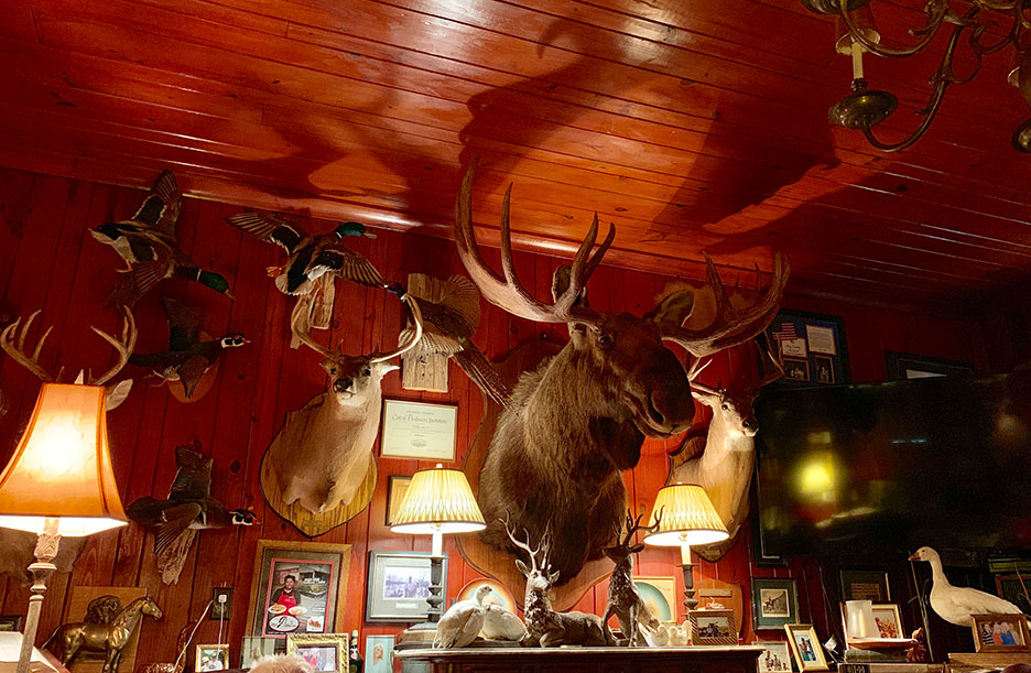 Mounted deer and elk heads on a warm red wood wall in a rustic room with lamps.