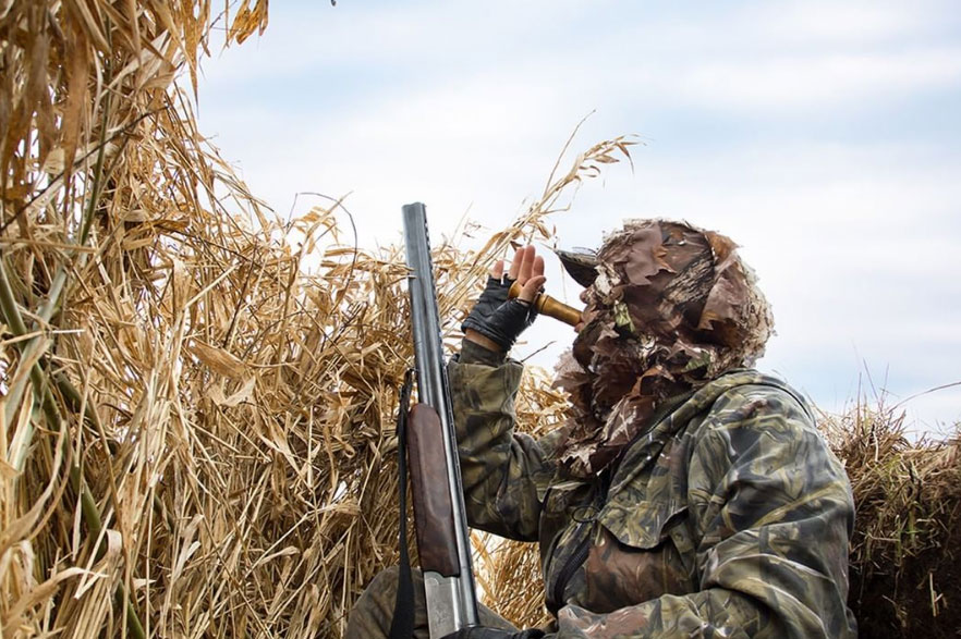 Camouflaged hunter calling a duck beside tall reeds under a cloudy sky