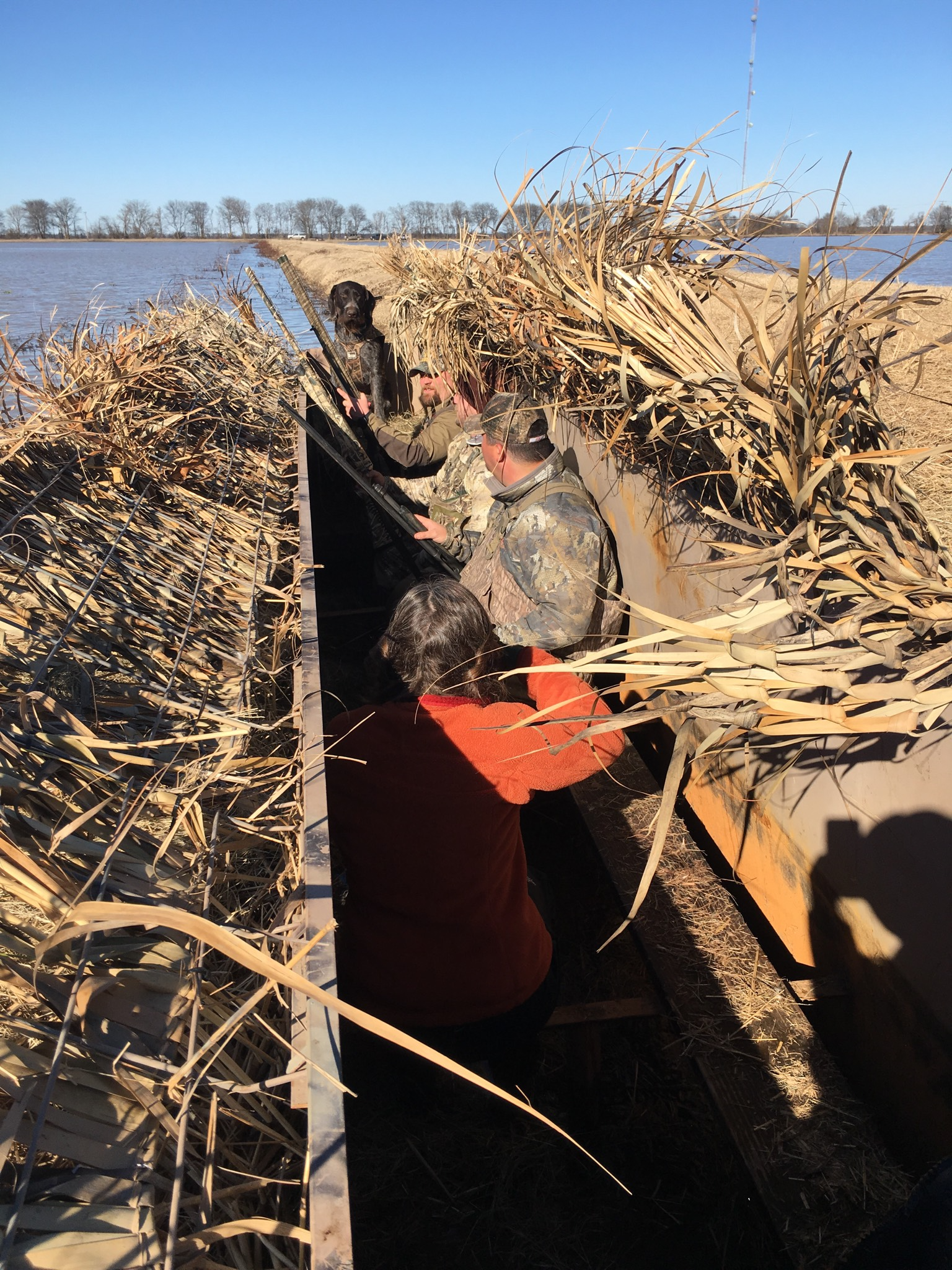 Person in a camo jacket riding in a small boat through dense reeds on a lake.