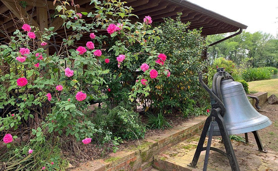 Garden with pink flowers beside a large metal bell on a stand under a roof