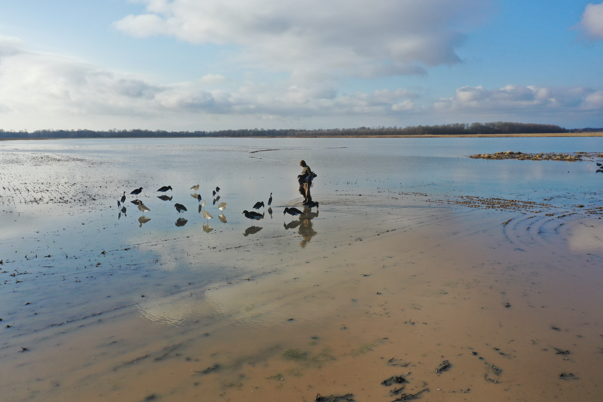 Person feeding birds on a sandy shoreline under a cloudy blue sky