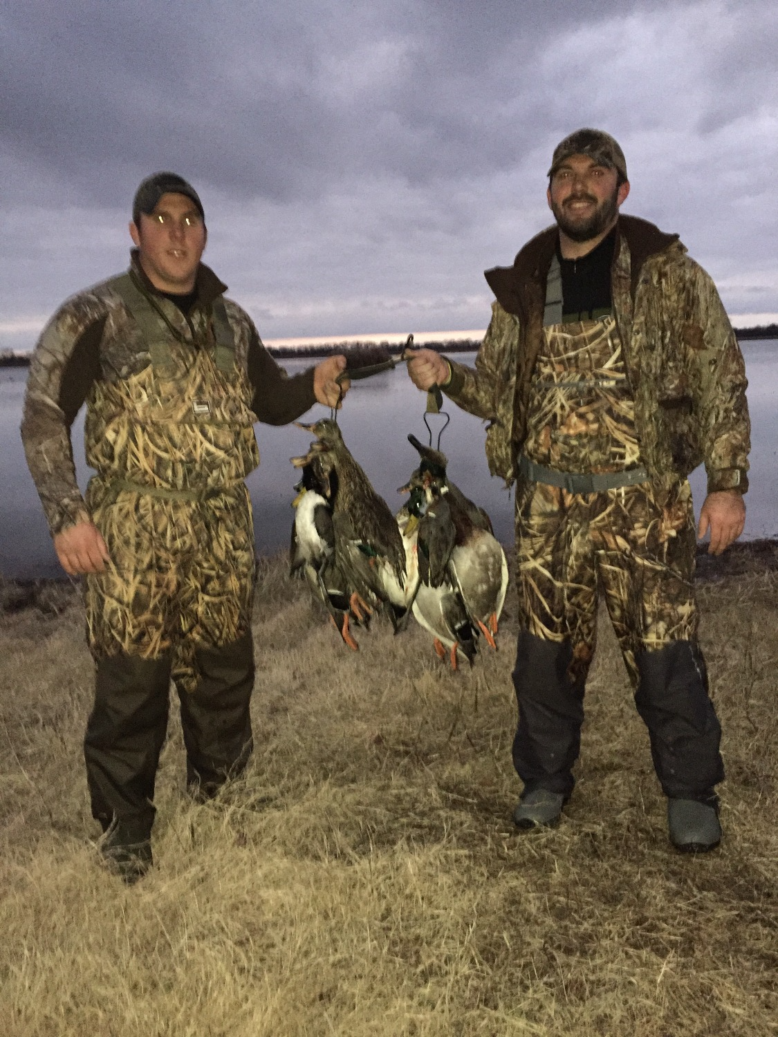 Two hunters in camouflage holding ducks in a grassy field at dusk.