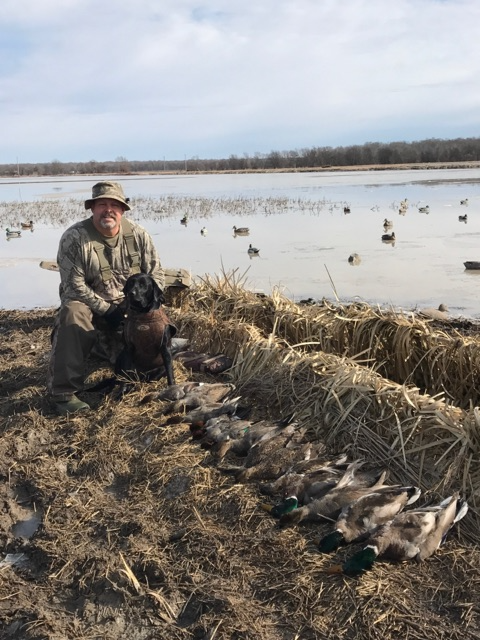 Hunter kneeling with dog beside a marsh, surrounded by ducks and geese after a hunt
