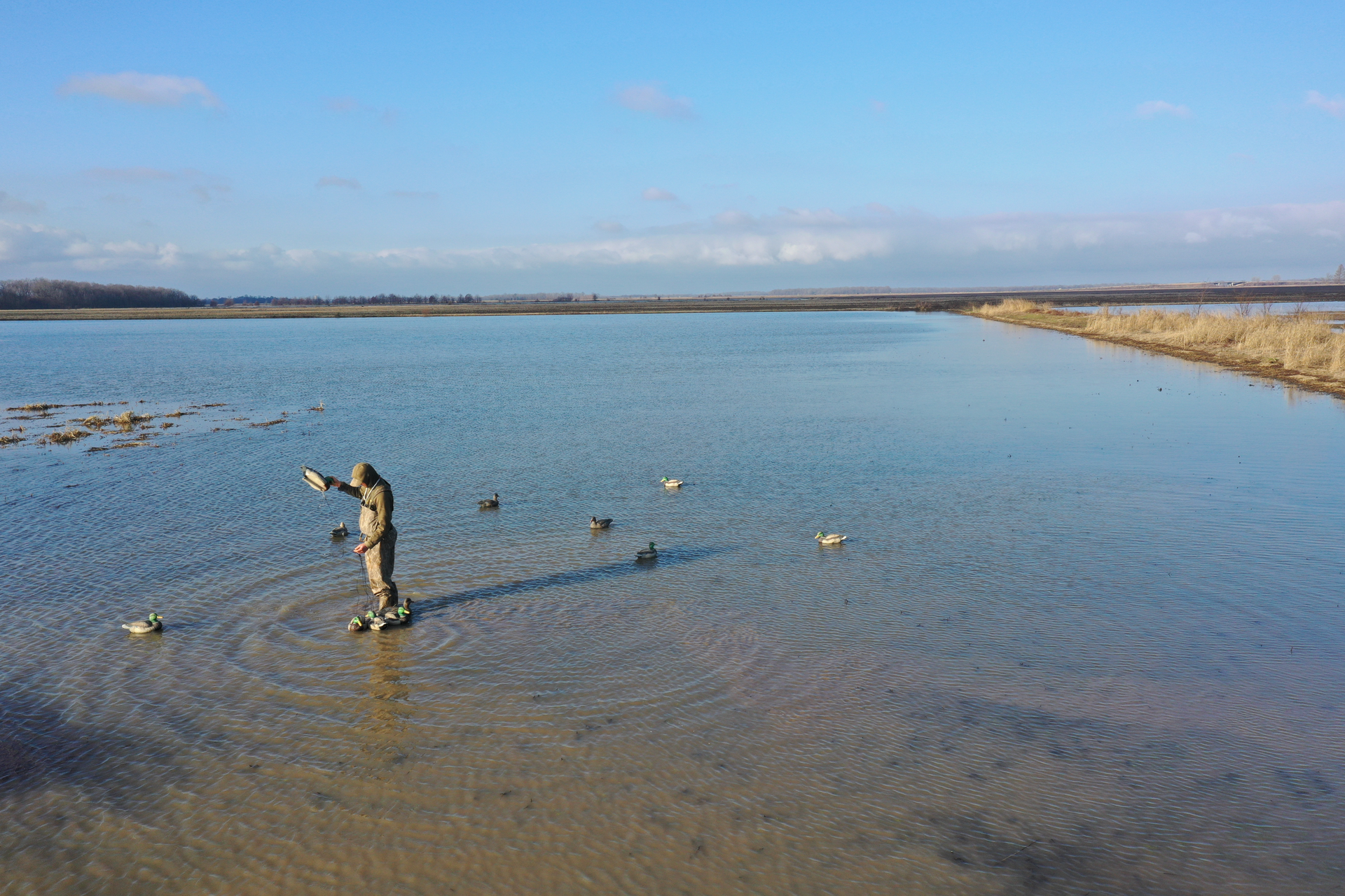 Person standing in shallow water by a wide lake under a clear blue sky
