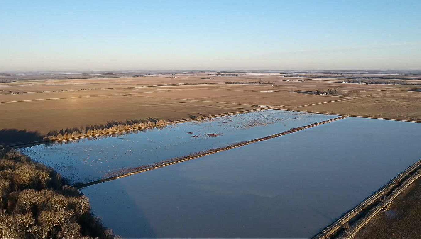 Aerial view of a flooded field bordered by brown farmland under a clear blue sky.