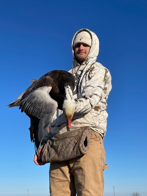 Person holding a large goose outdoors under a clear blue sky