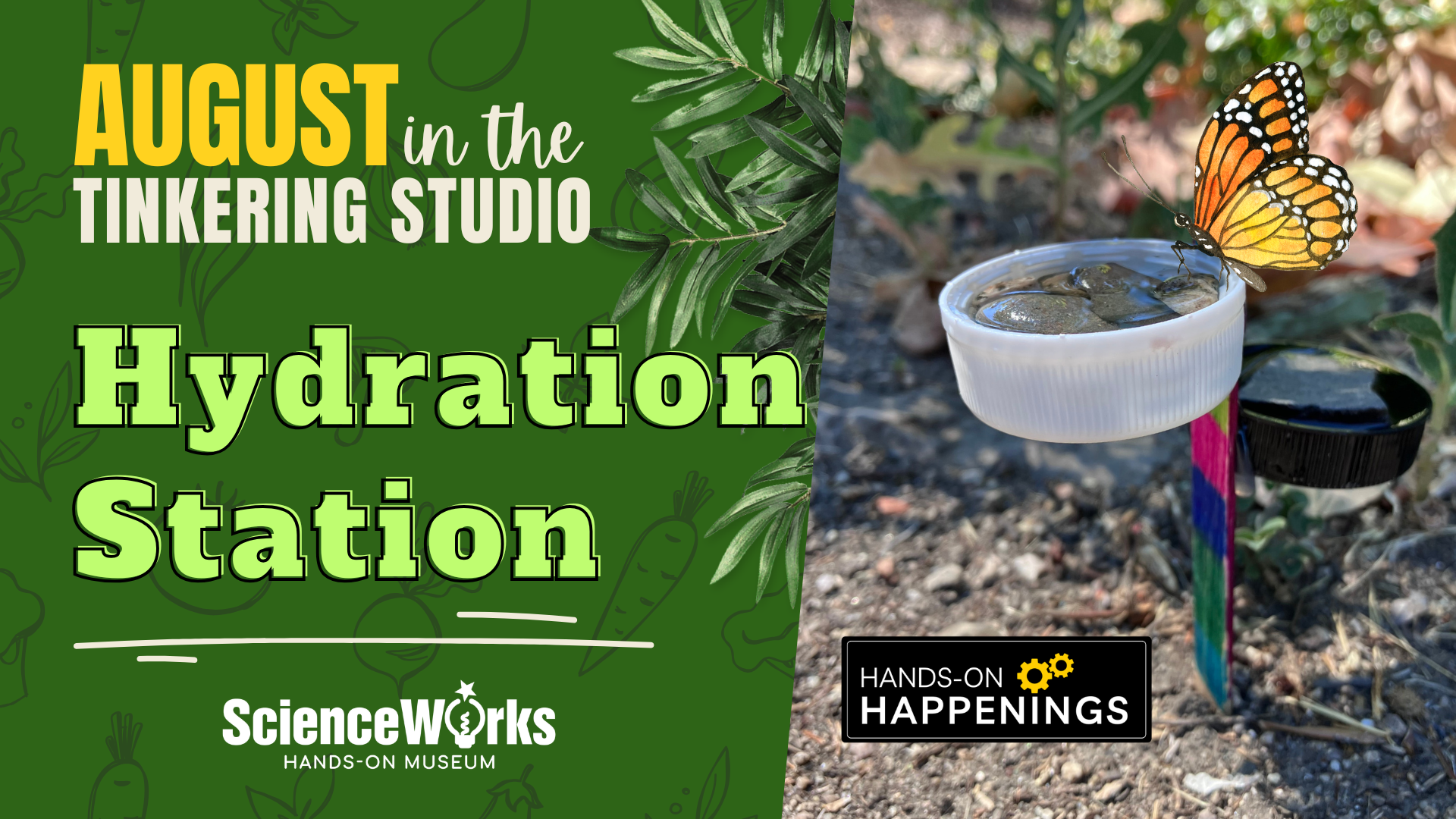August in the Tinkering Studio: Hydration Station sign with butterfly feeder and ScienceWorks logo