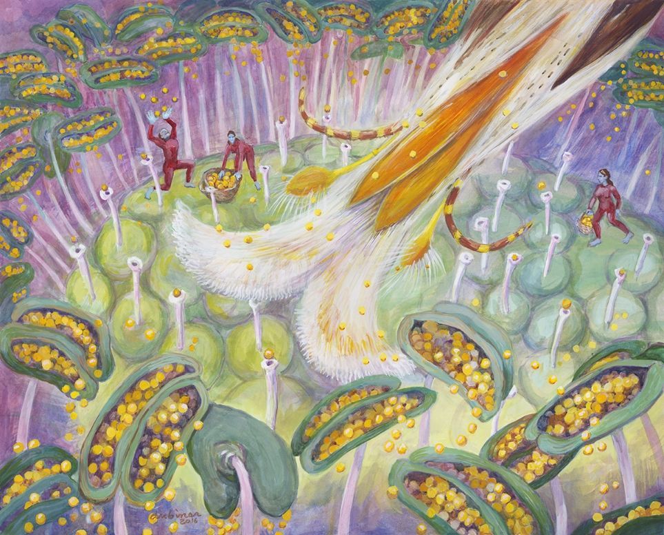 Shoshanah Dubiner Art