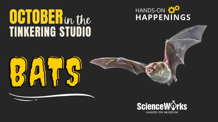 October in the Tinkering Studio: Bats, with a flying bat and ScienceWorks logo on black background