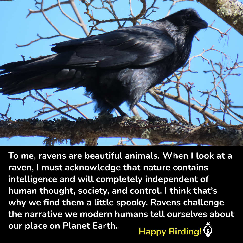 Black raven perched on a tree branch against a blue sky, with a quote overlaid at the bottom.