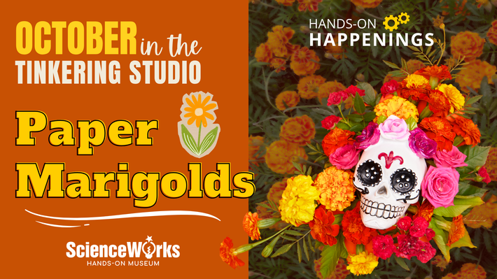 October in the Tinkering Studio: paper marigolds; also shows a flower-covered sugar skull