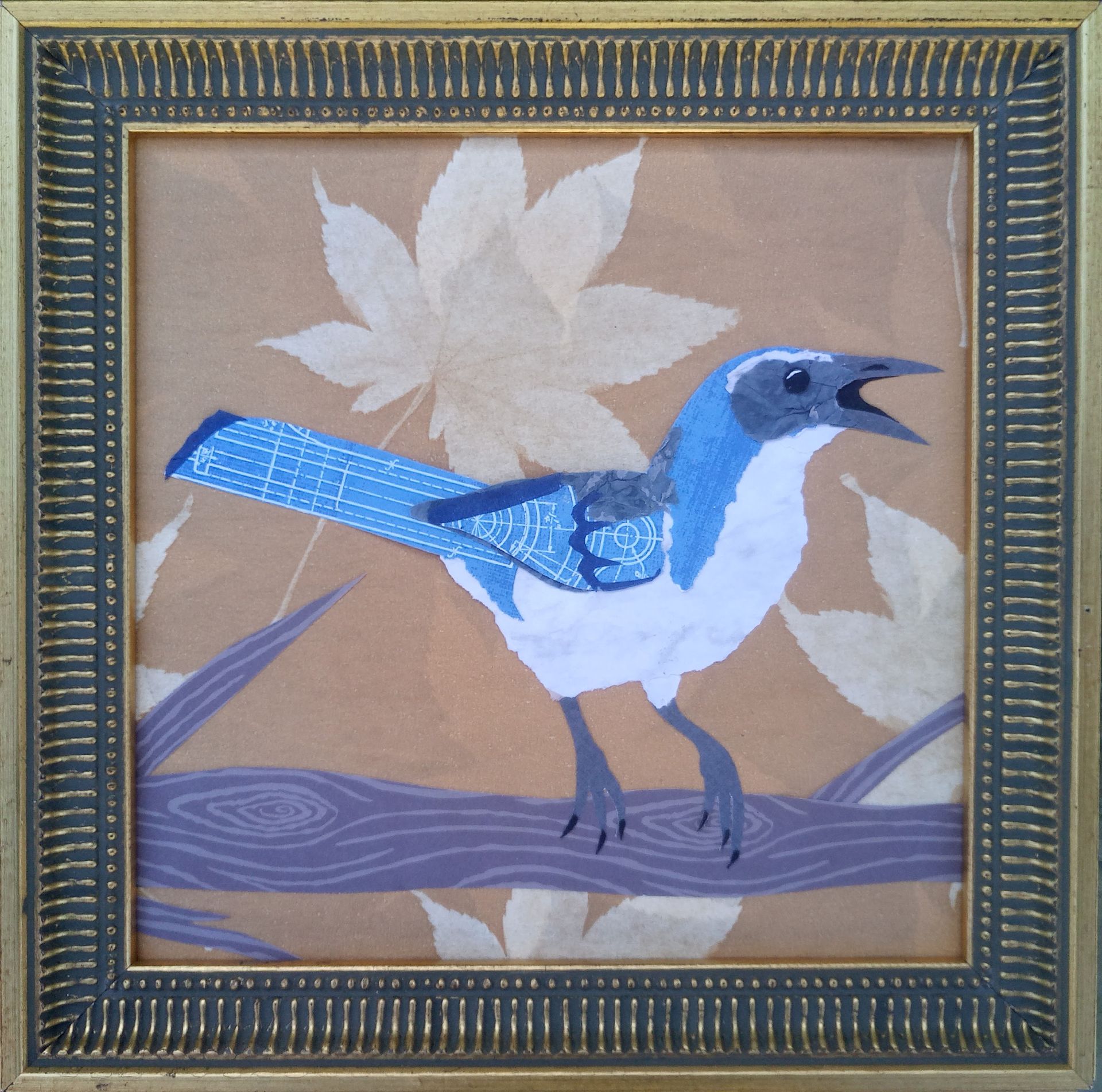 Scrub Jay by Kailey Ousley