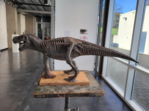 One of Drew Hogan's sculptures featured at ScienceWorks.