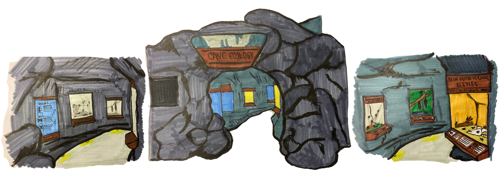 Concept drawings of new cave exhibit at scienceworks
