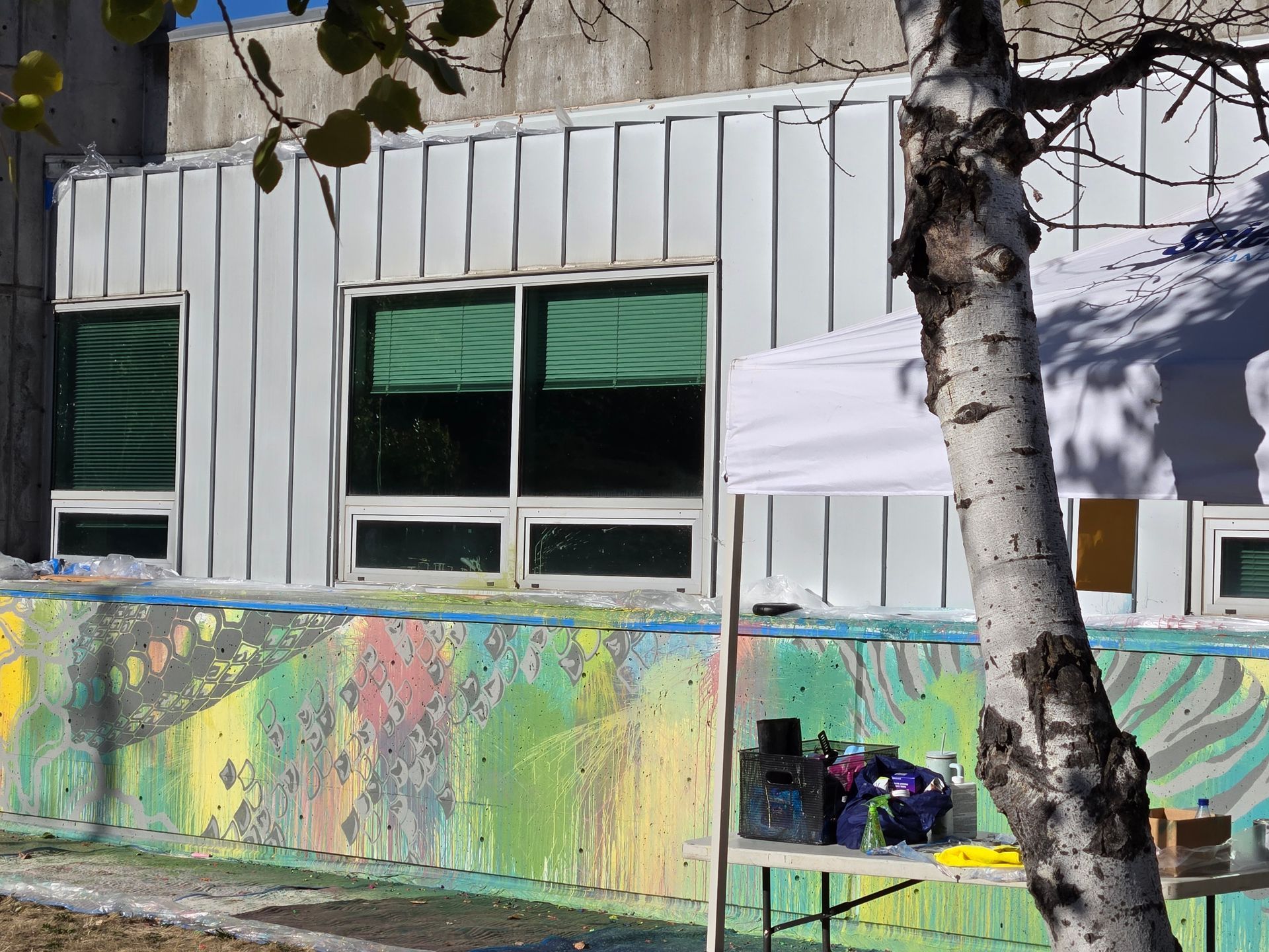 Colorful mural on a low wall with windows